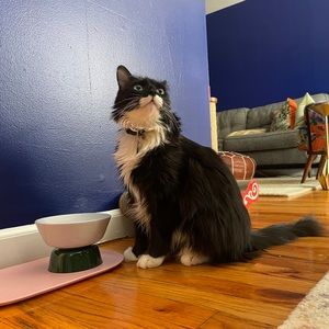 Meet your Posher, Cindy